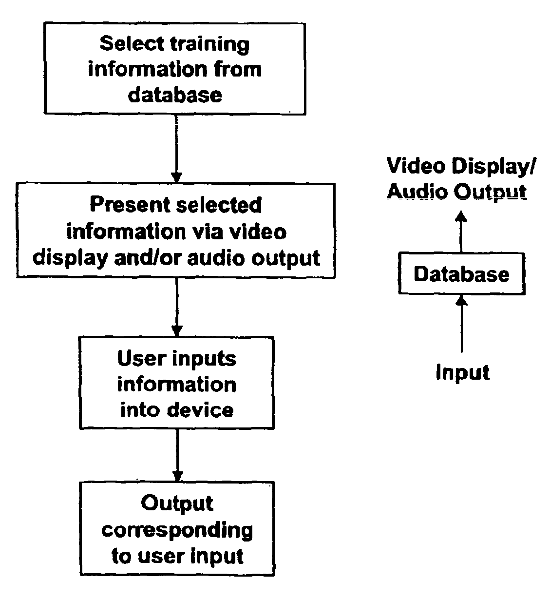 Method and apparatus for providing training information regarding a pet