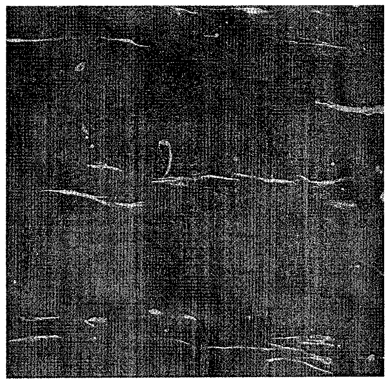 Degradation controlled tissue engineering comea fibrous scaffold and preparation method thereof