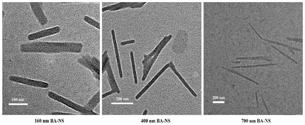 A kind of betulinic acid nano-suspension and preparation method thereof