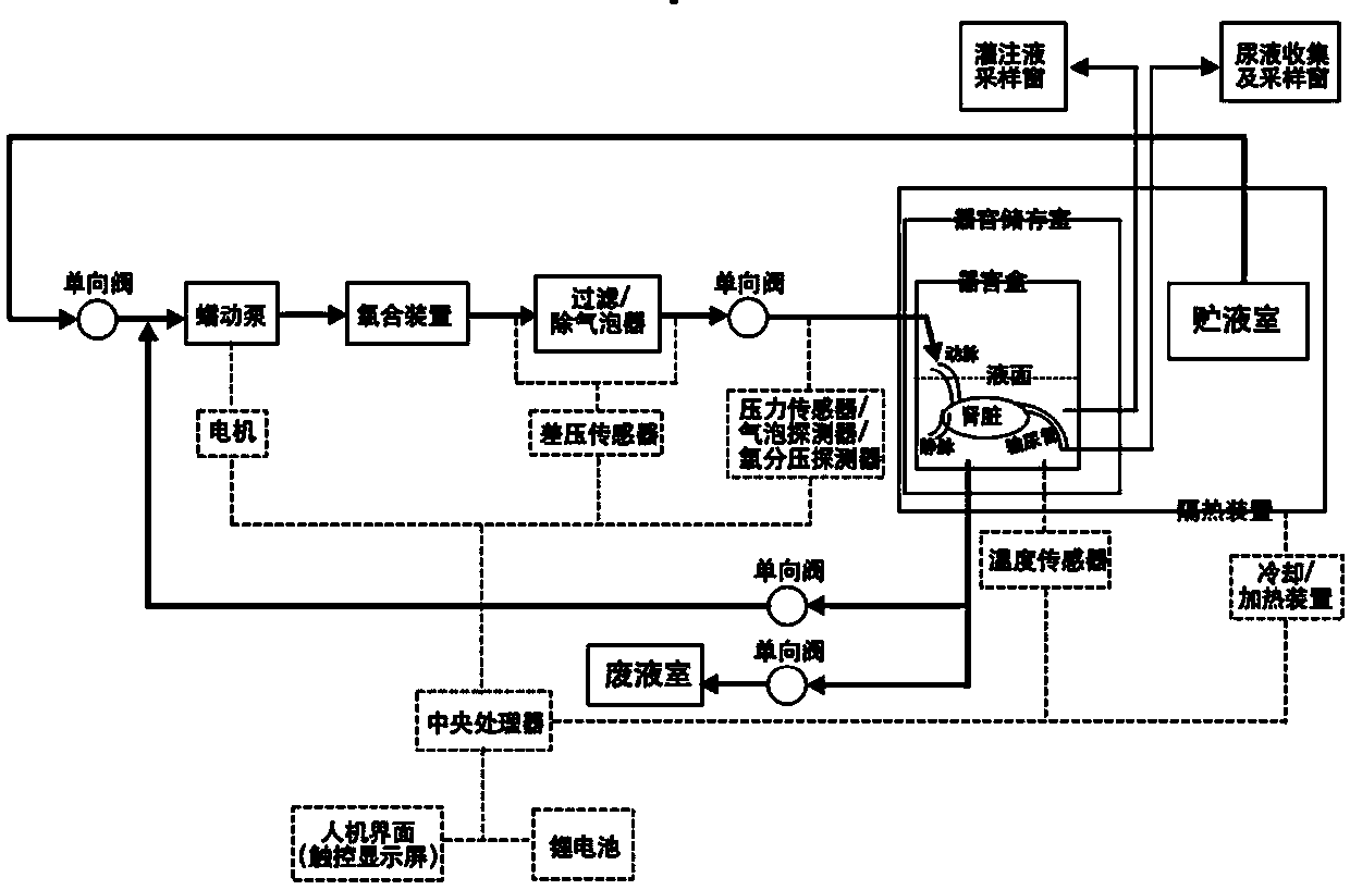 Sub-normal-temperature or low-temperature isolated kidney storage device