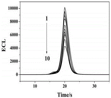 Preparation method and application of electroluminescent immune sensor based on dual-co-reaction reagent amplifying signal