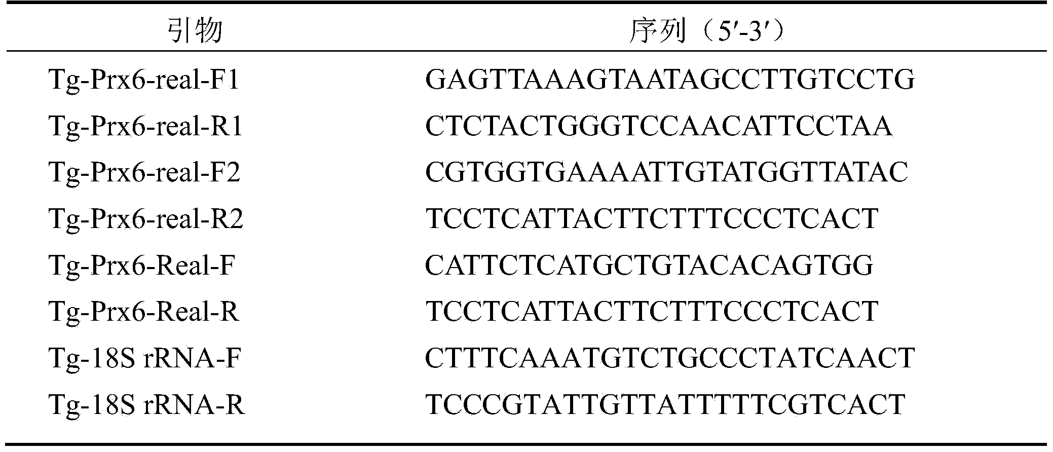 Tegillarca granosa antioxidant protein Peroxiredoxin-6