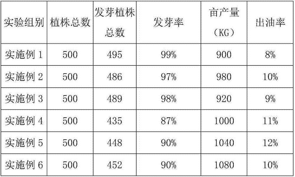 Breeding method for peony seed variety