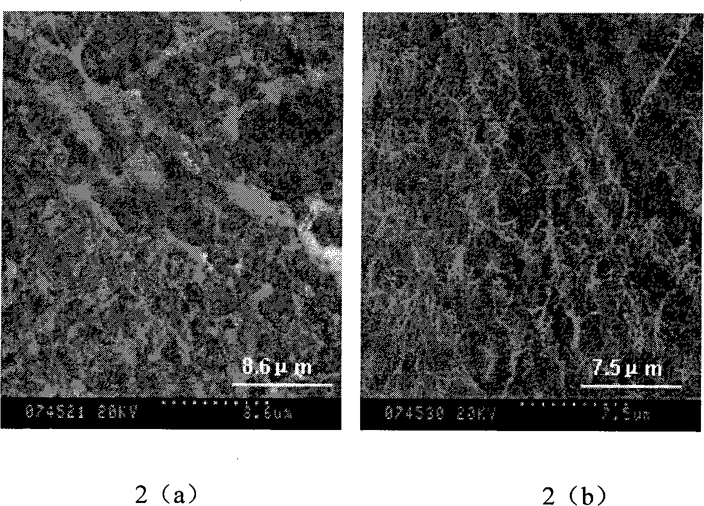 Acetobacter xylinum and method for preparing nano-cellulose skin tissue repair material by using the same