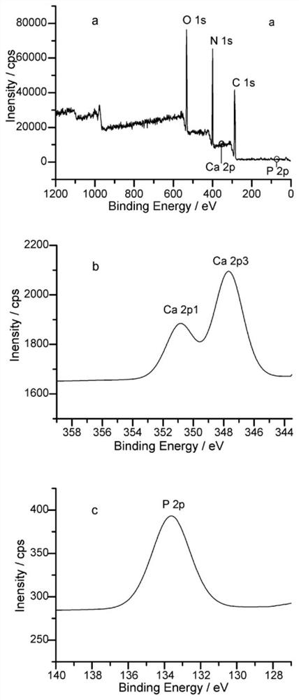 Hydroxyapatite functionalized monolithic column prepared by in situ mineralization method