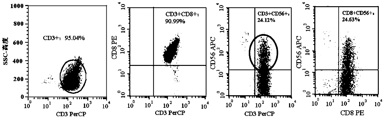 Chimeric antigen receptor and gene and recombinant expression vector thereof, carher1-nkt cell and preparation method and application thereof