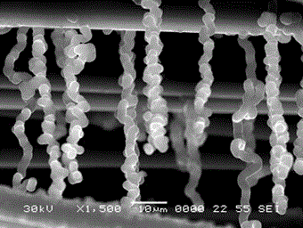 A method for rapid and directional growth of carbon nanofibers on the surface of carbon fibers