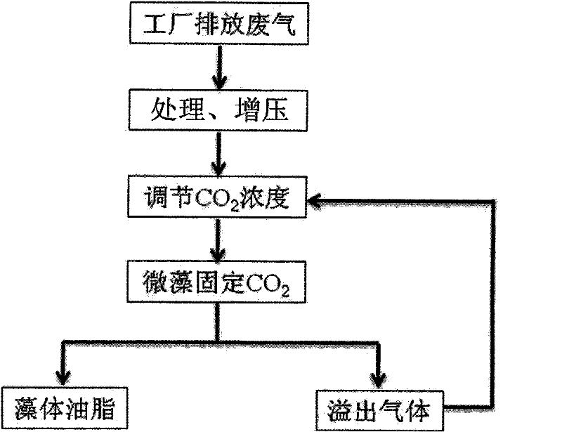 Method for reducing CO2 emission and producing microalgae lipid by using microalgae