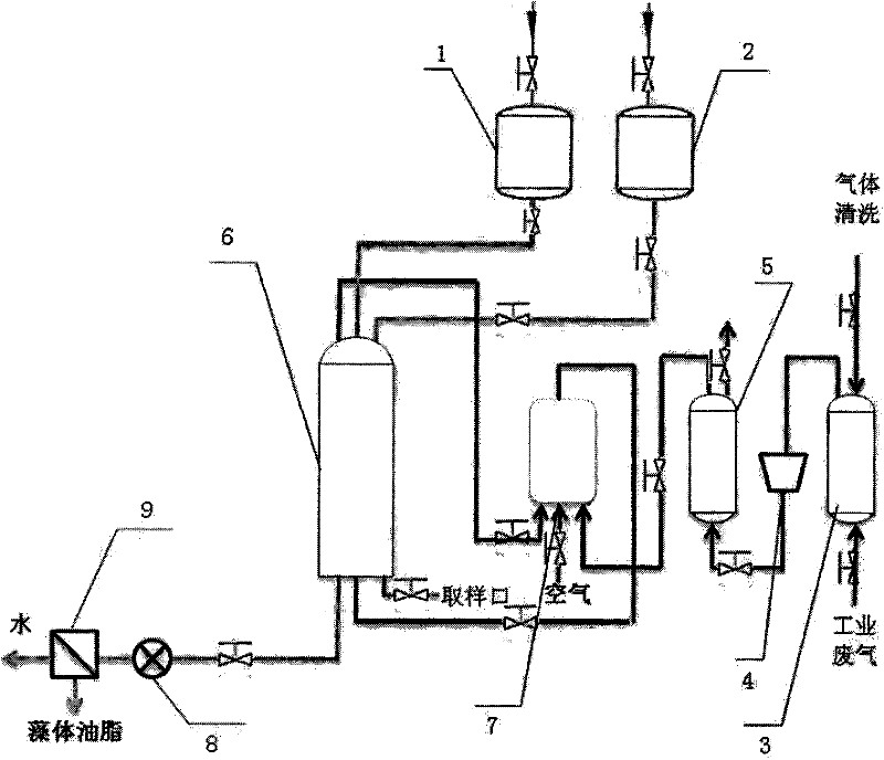 Method for reducing CO2 emission and producing microalgae lipid by using microalgae