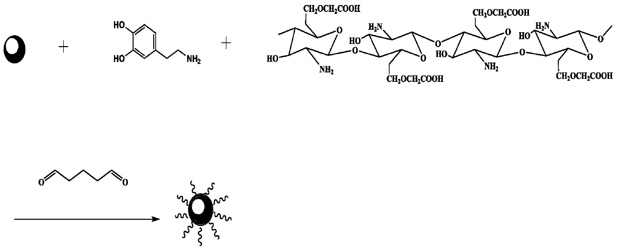 Magnetic polydopamine/carboxymethyl chitosan adsorbent and preparation method and application thereof