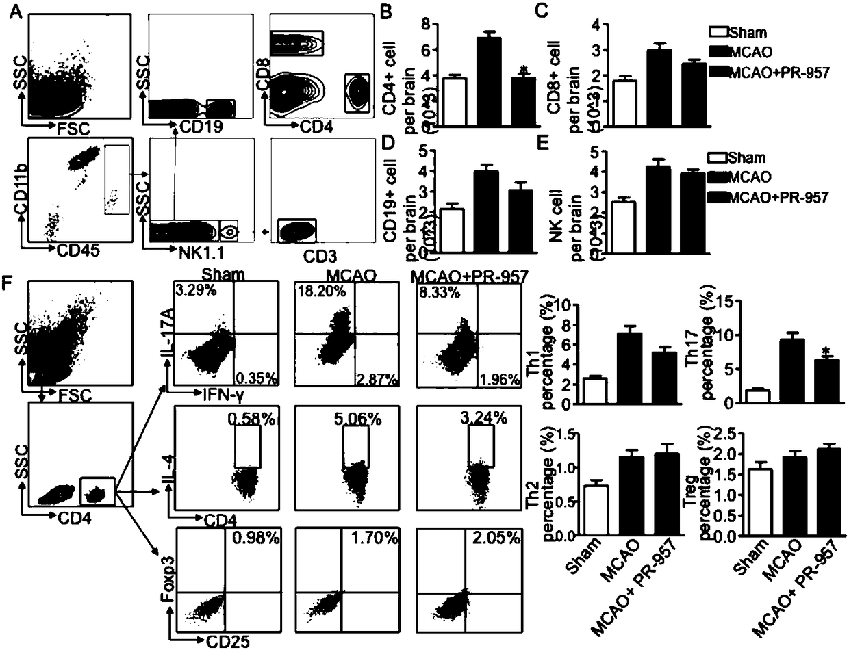 Application of PR-957 in preparing drugs for treating cerebral ischemia-reperfusion injury