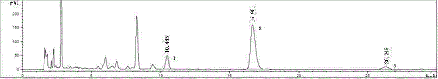 Preparation technology of high-content compound herba houttuyniae mixture