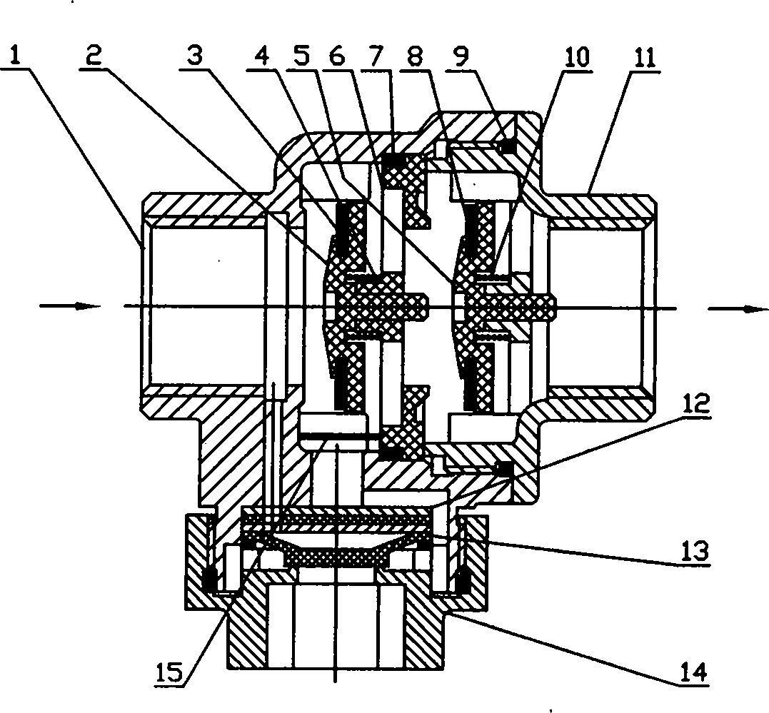 Backflow preventer with built-in filter screen and no external piping