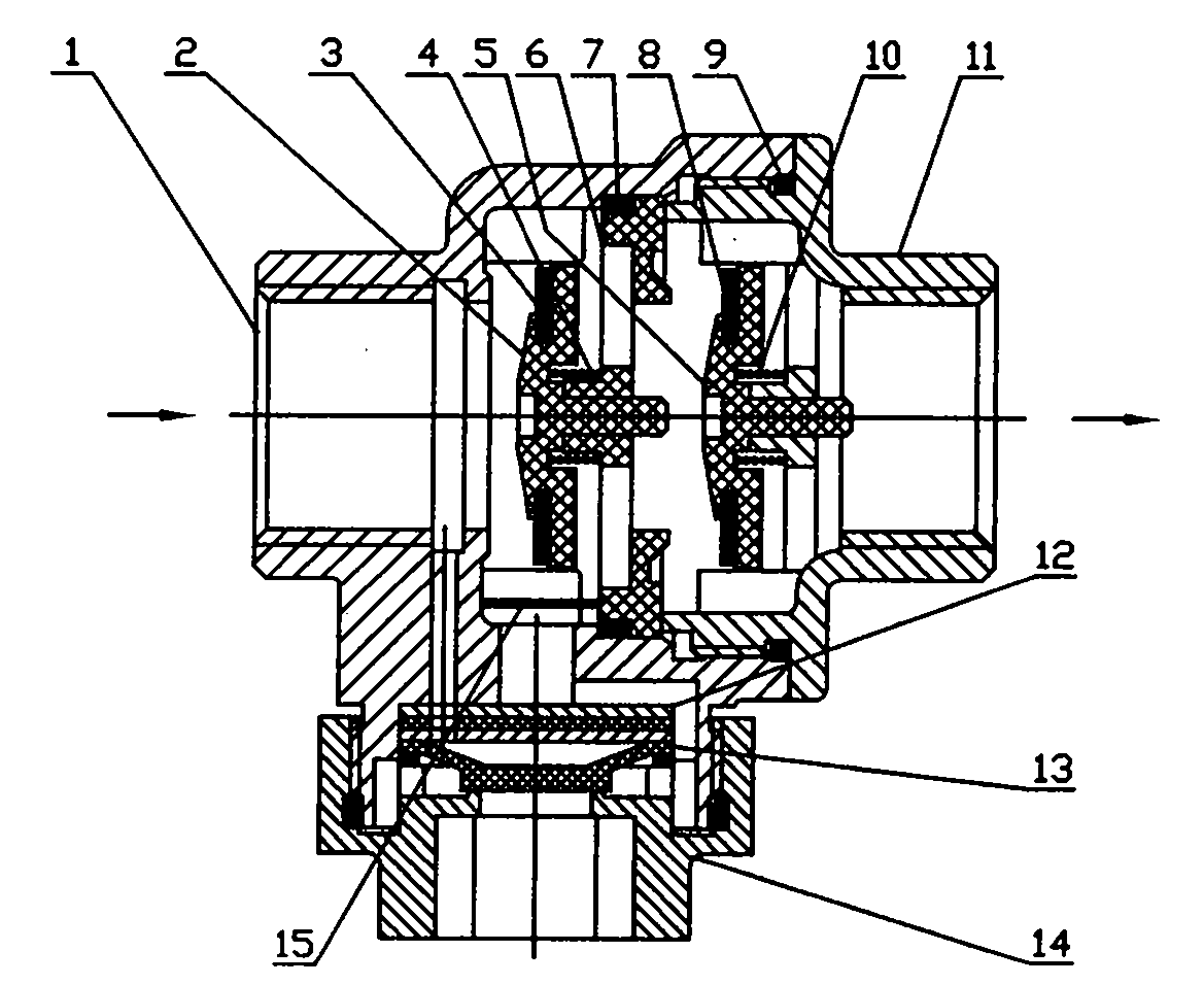 Backflow preventer with built-in filter screen and no external piping