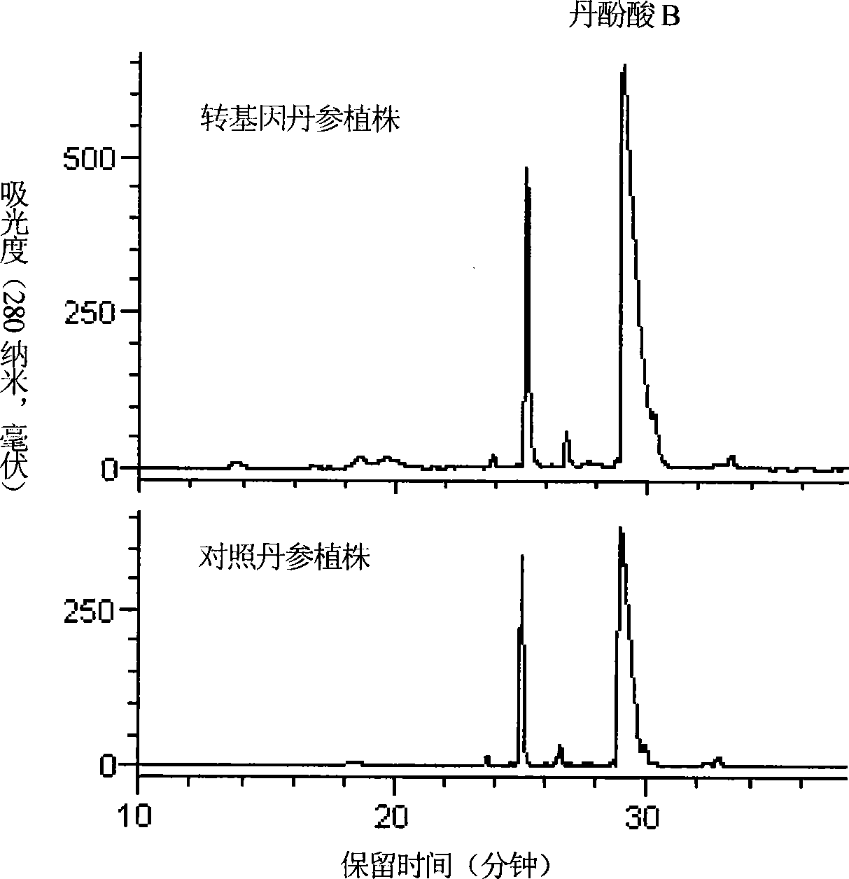 Transgenic method for improving salvianolic acid B content in root of red-rooted salvia