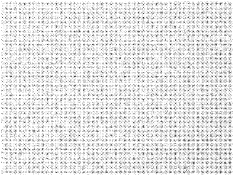 Preparation method for silver zinc oxide electrical contact