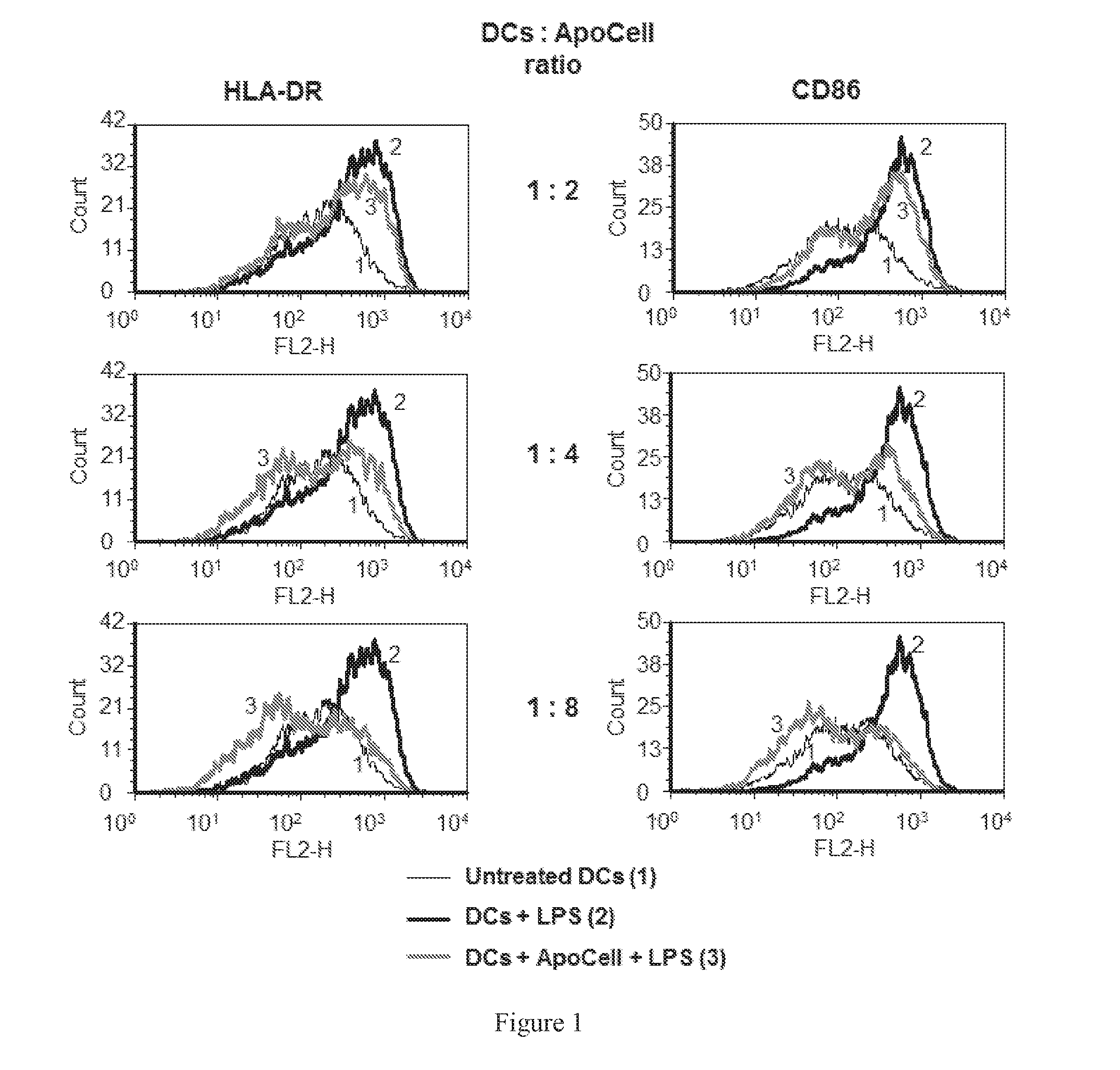 Therapeutic apoptotic cell preparations, method for producing same and uses thereof