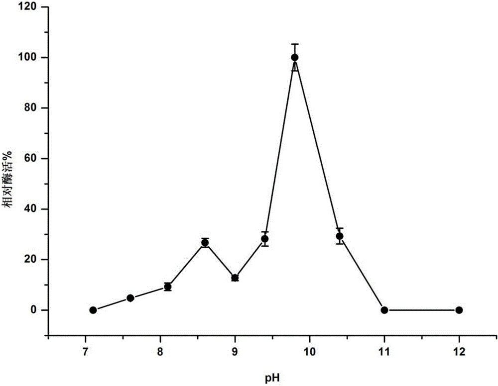 Alkaline pectinase PelN, as well as encoded gene and application thereof