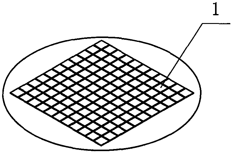 Testing method and testing probe platform for image sensor chip