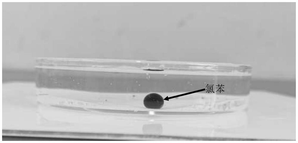 Preparation method of super-hydrophilic/underwater super-oleophobic filter paper