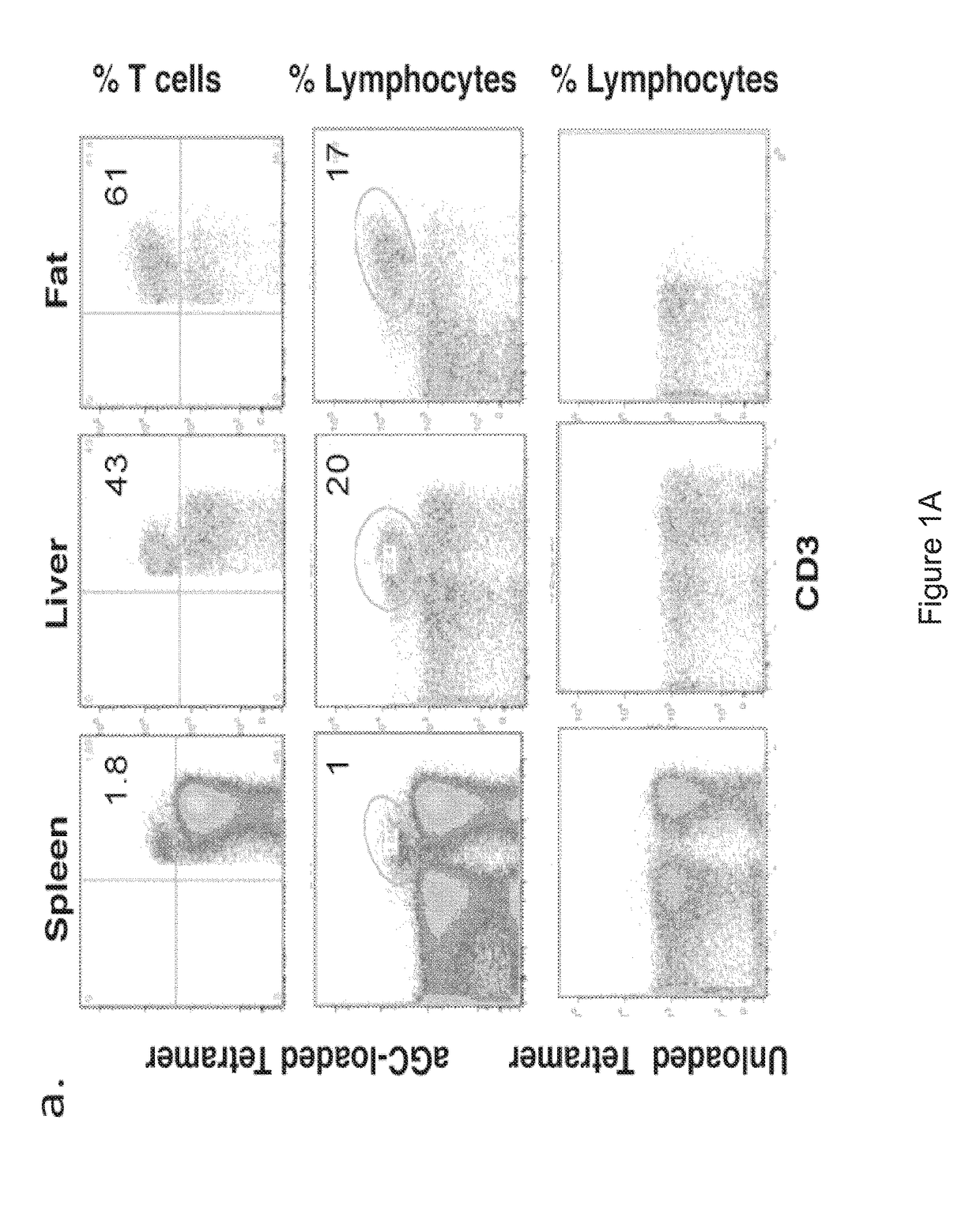 Methods and compositions for treatment of metabolic disorders