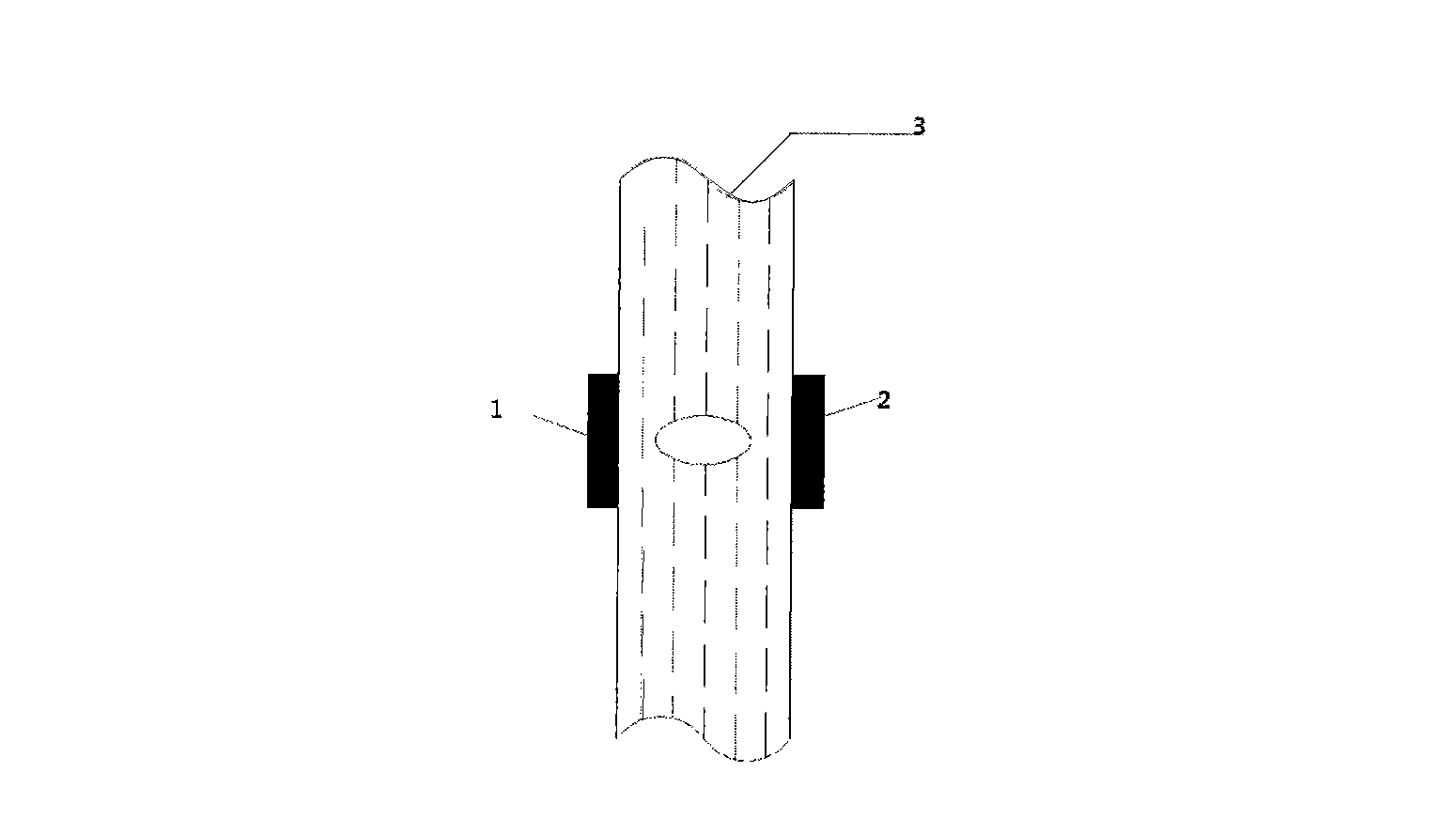 Bubble monitoring device for portable blood purification system