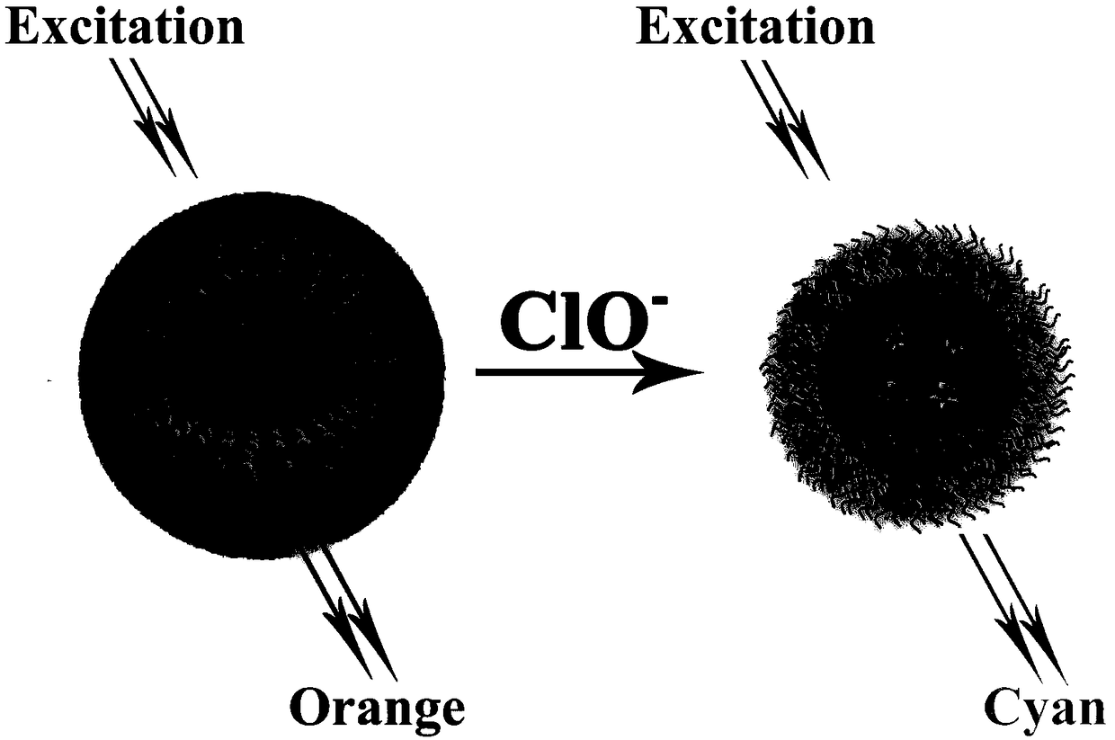 Ratio fluorescent nanoprobe for visual detection of hypochlorite as well as preparation and application of ratio fluorescent nanoprobe