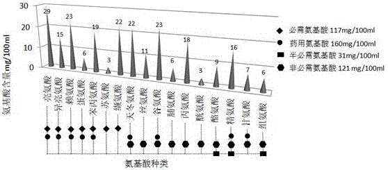 Fermented holboelliafargesiireaub fruit wine and preparation method thereof