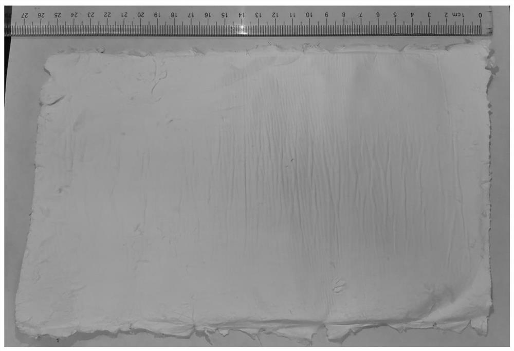 Photocatalytic fabric as well as preparation method and application thereof