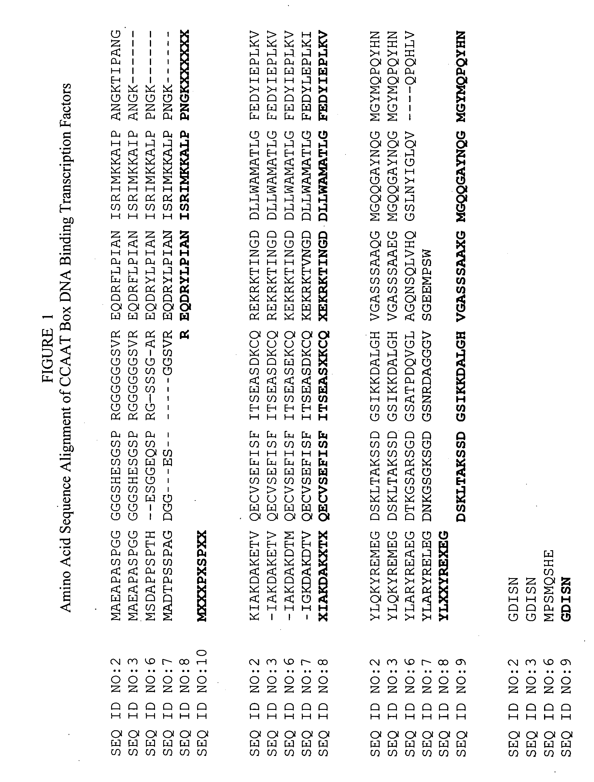 Yield-improved transgenic plants