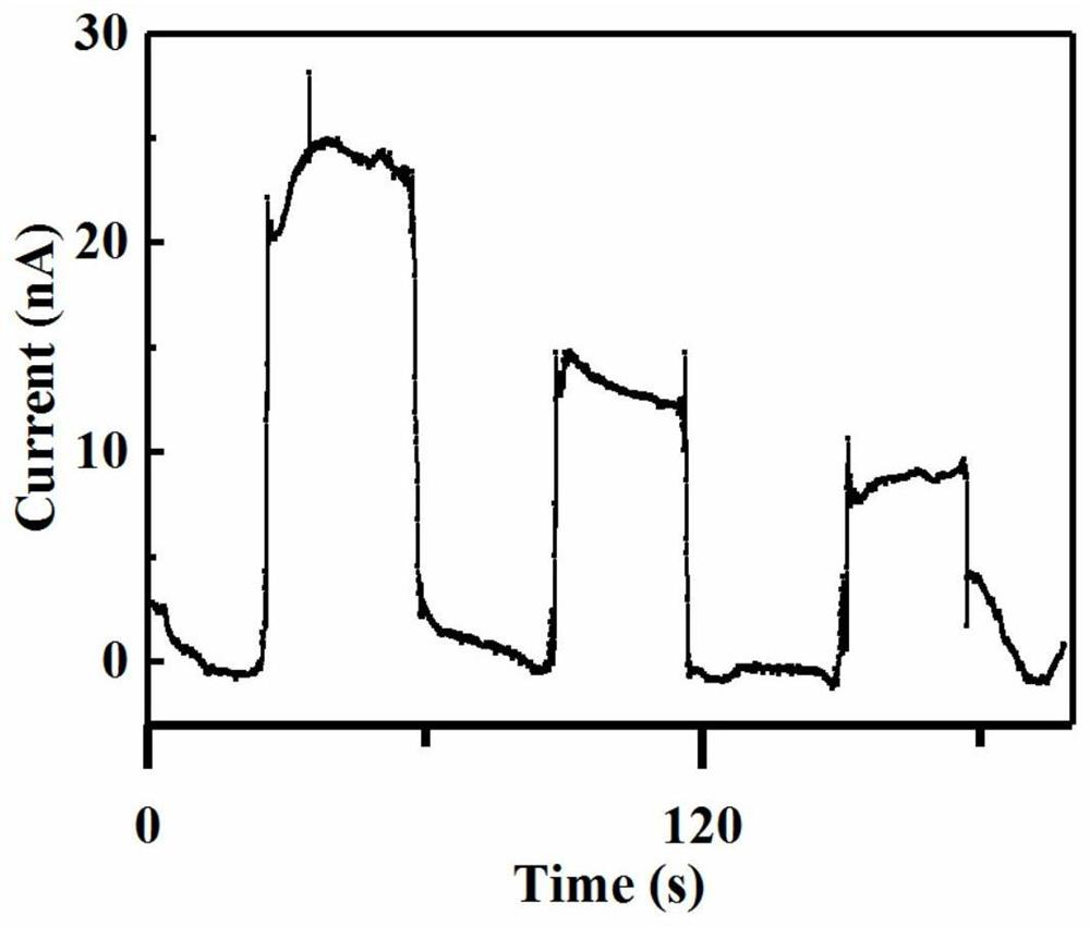 Preparation method and product of a flexible humidity sensor