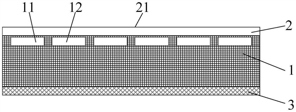 Electrostatic conveyor belt and impurity removing machine