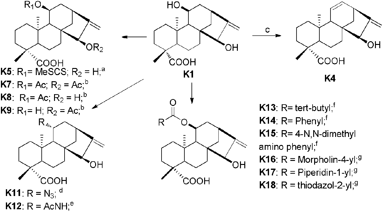 Kaurene diterpene derivative, medicinal composition thereof and application of kaurene diterpene derivative to medicament
