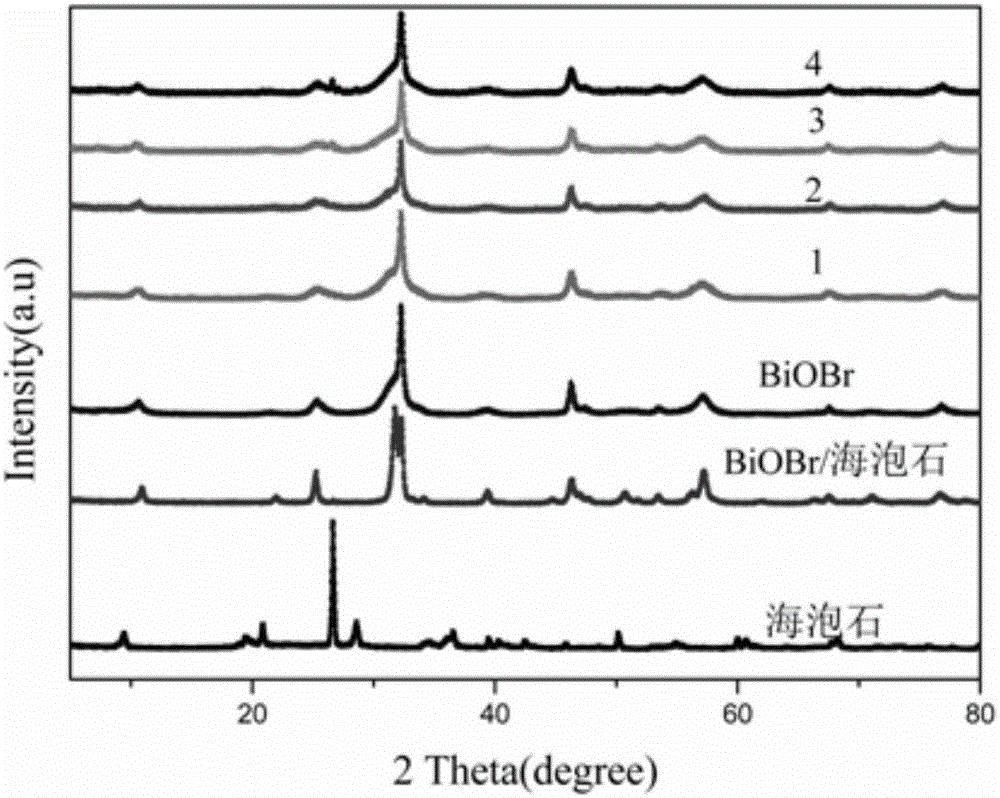 Method for PVP assisted preparation of flower-like BiOBr/sepiolite composite catalyst and application of composite catalyst