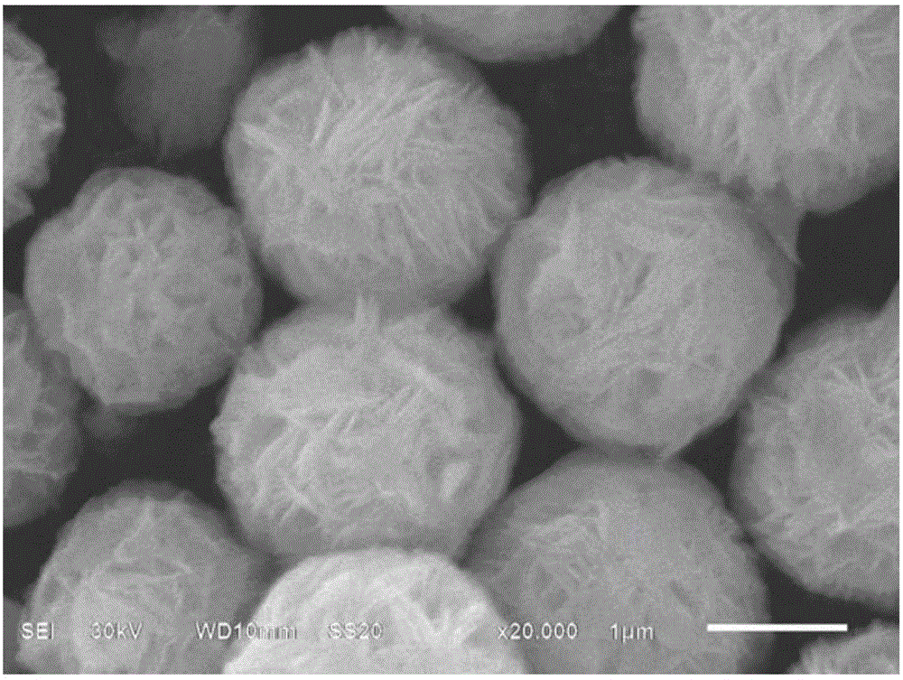 Method for PVP assisted preparation of flower-like BiOBr/sepiolite composite catalyst and application of composite catalyst