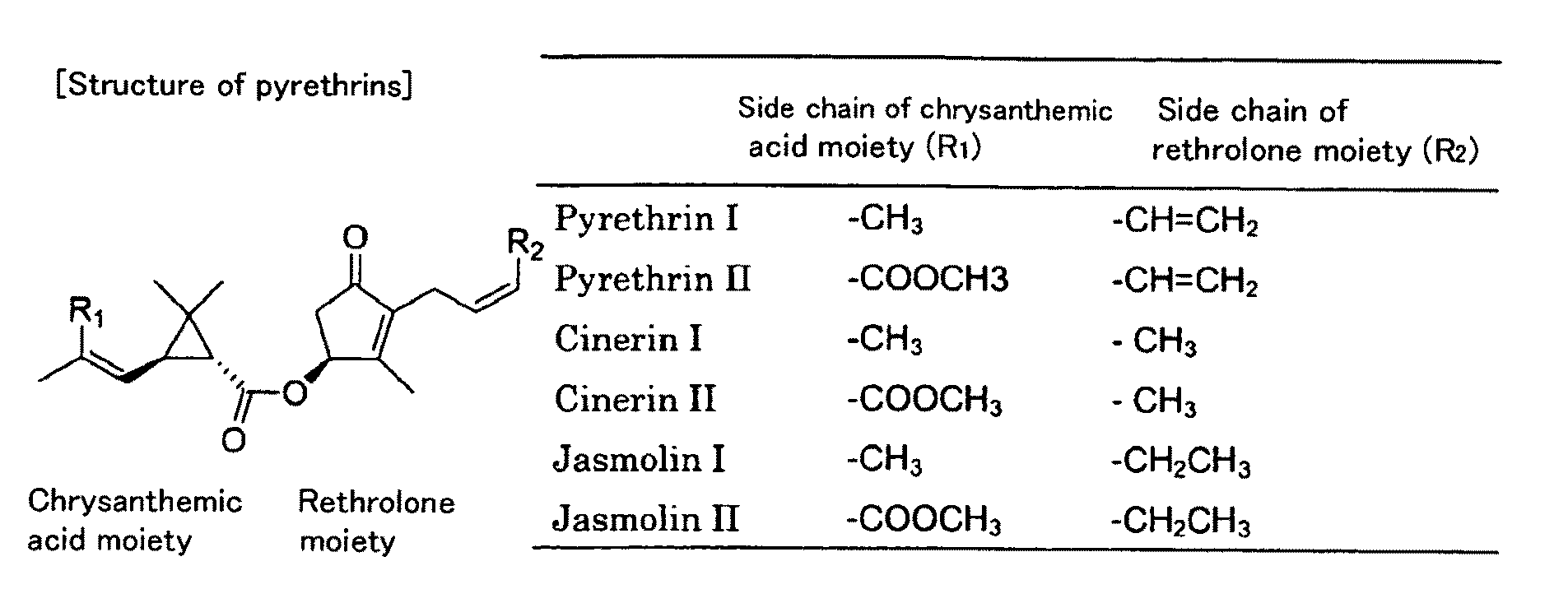 Protein exhibiting activity of pyrethrin biosynthetic enzyme, gene encoding the protein, and vector bearing the gene