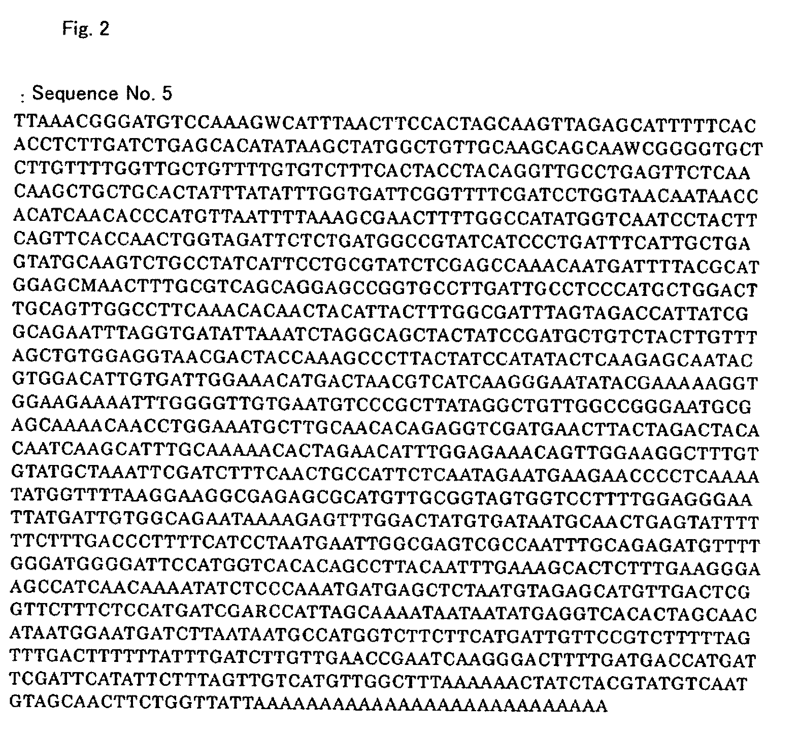 Protein exhibiting activity of pyrethrin biosynthetic enzyme, gene encoding the protein, and vector bearing the gene