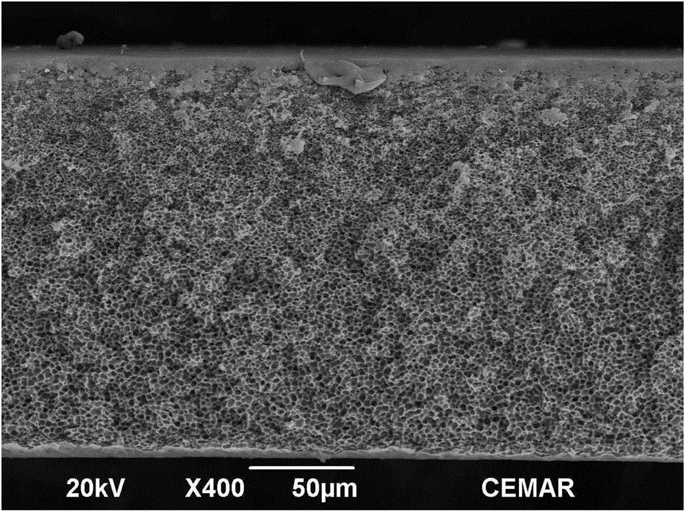 Polysulfonate separation membrane and preparation method thereof