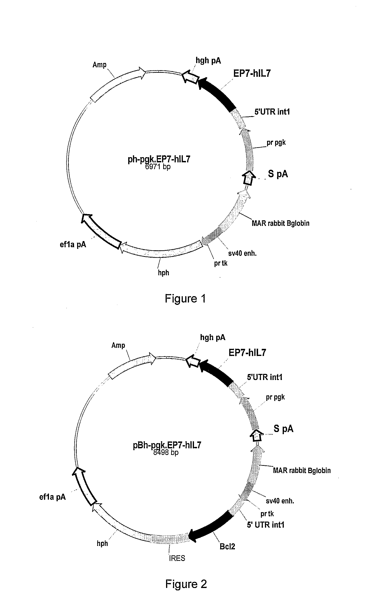 Glycosylated IL-7, Preparation And Uses