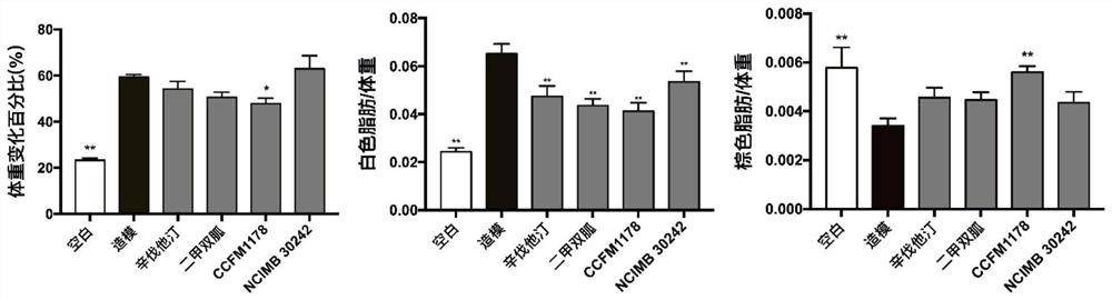 Lactobacillus reuteri CCFM1178 capable of intervening in metabolic syndrome, and application of lactobacillus reuteri CCFM1178