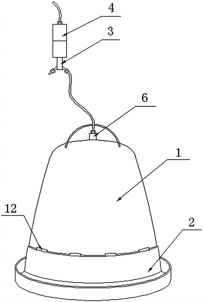 An automatic waterer for chickens