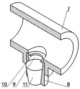 Feeding and water dispensing device for chickens