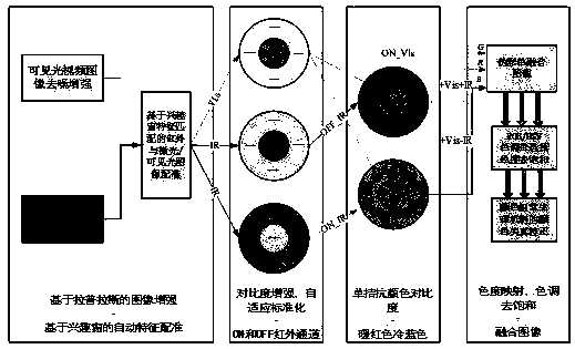 Infrared and visible light information fusion navigation method based on bionic vision