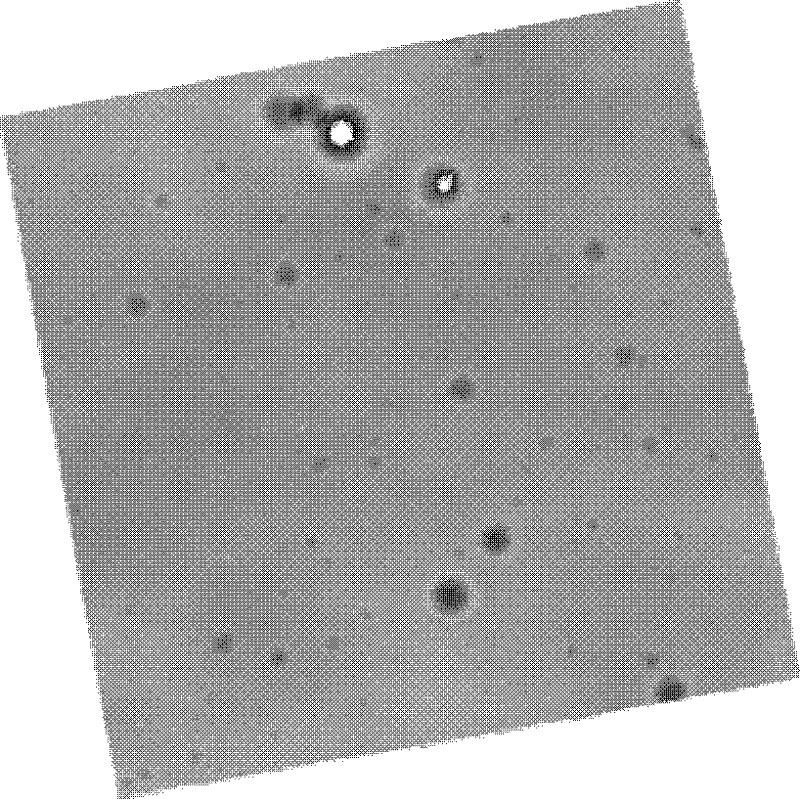 Method for calculating mean free path (MFP) of exploration rover against complex terrain environment