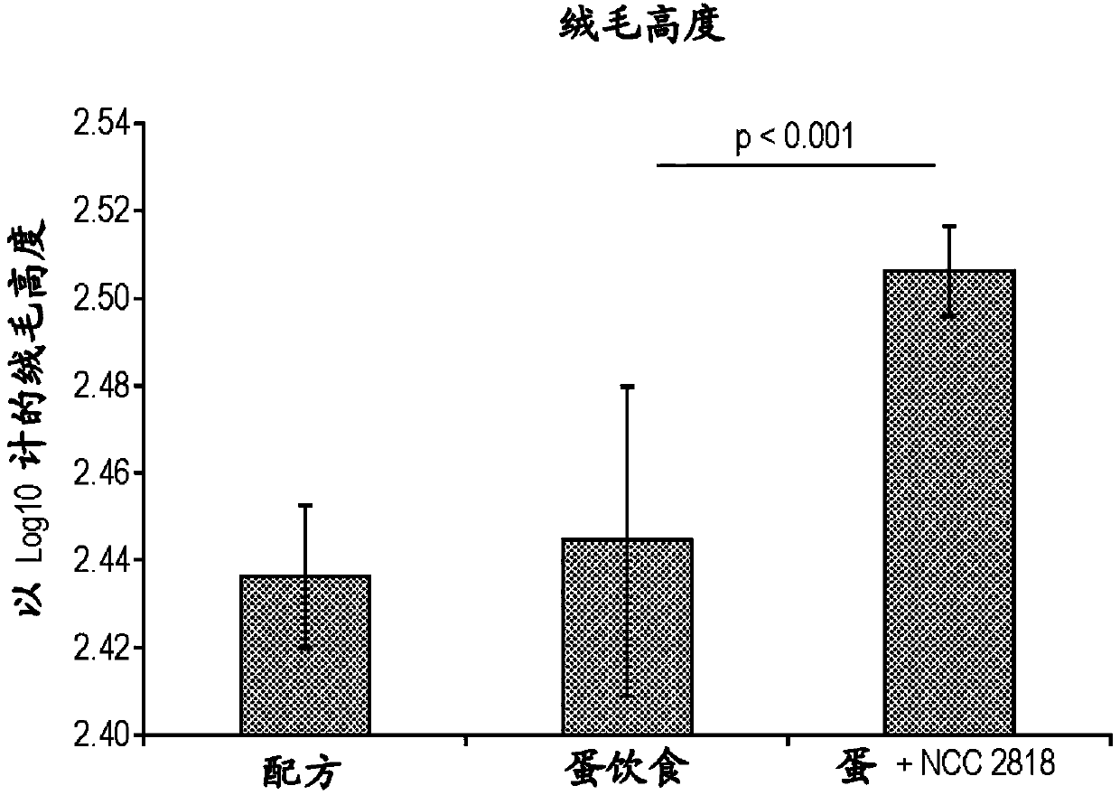 Probiotic for administration to healthy young mammals during the weaning period for improving tolerance to newly introduced food stuffs