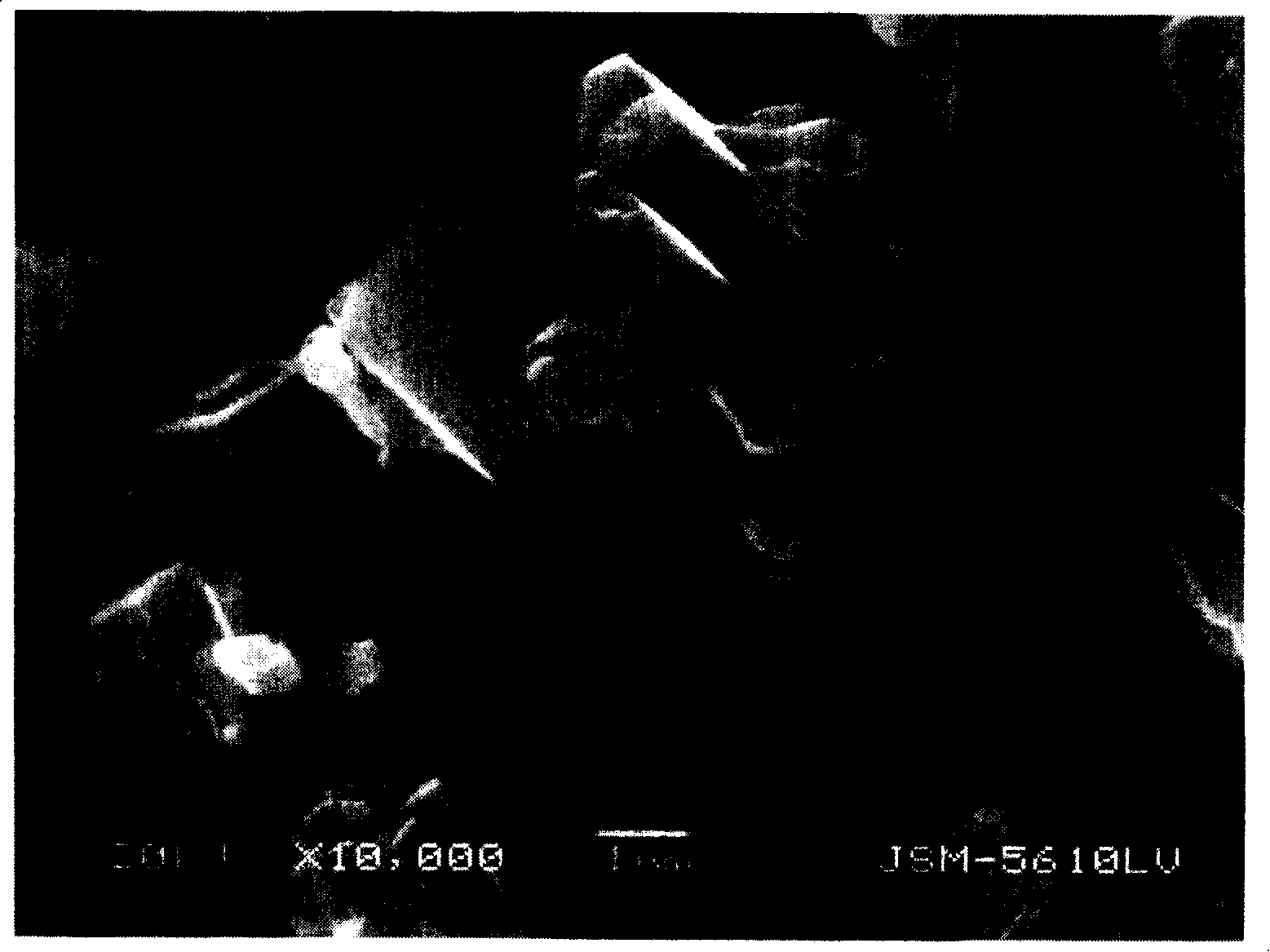 Method for preparing ferrous oxalate hydrated salt crystal