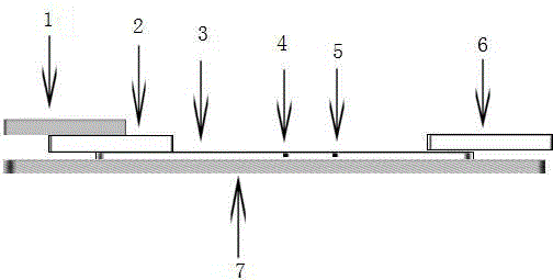 Reagent composition for immunochromatography of canine coronavirus and detection method