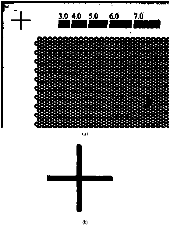 DPCR (Digital Polymerase Chain Reaction)-based novel full-automatic fluorescent signal acquisition and analysis method