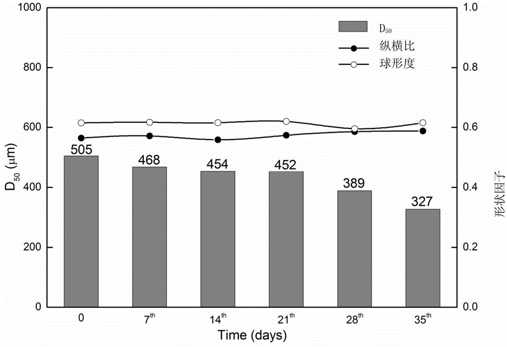 Method of obtaining characteristic parameters of aerobic composting microstructure