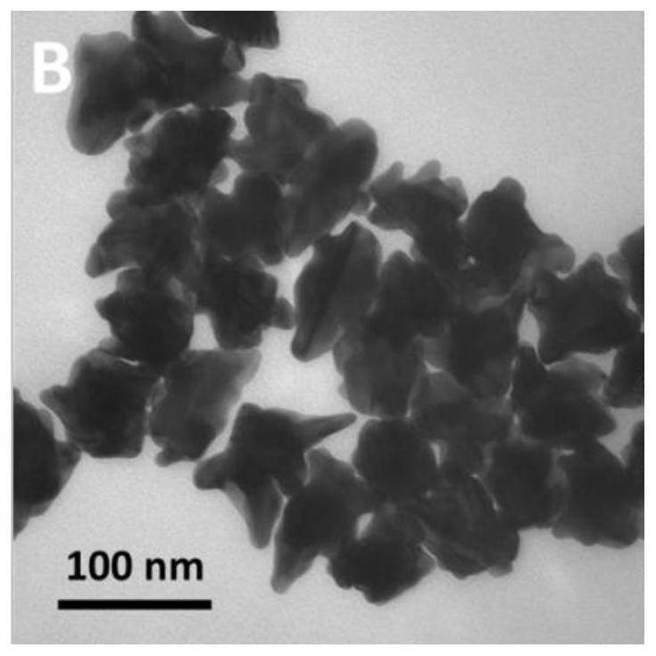 Gold nanoparticle, preparation method and application thereof